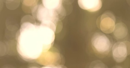 pan shot of abstract nature bokeh sun under the tree , 4k dci resolution