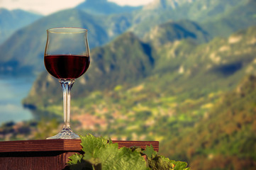 a glass of red wine in a vineyard on Bolzano, Italy a sunny autumn evening