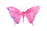 Fototapeta Motyle - Pink butterfly on white background, watercolor illustrator, hand painted