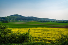 Grass Field in Germany