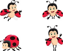 Cute Ladybug Cartoon Set