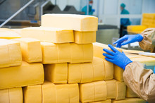 Industrial Production Of Hard Cheeses