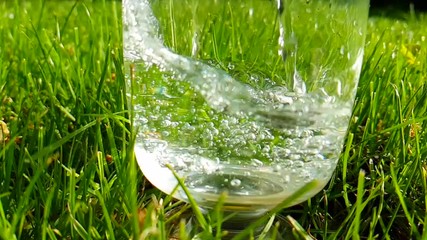 Wall Mural - glass of water pouring grass slow-motion shot