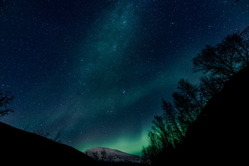 Wall Mural - Aurora Borealis (northern lights) Tromsdalstiden - Tromso -  north Norway