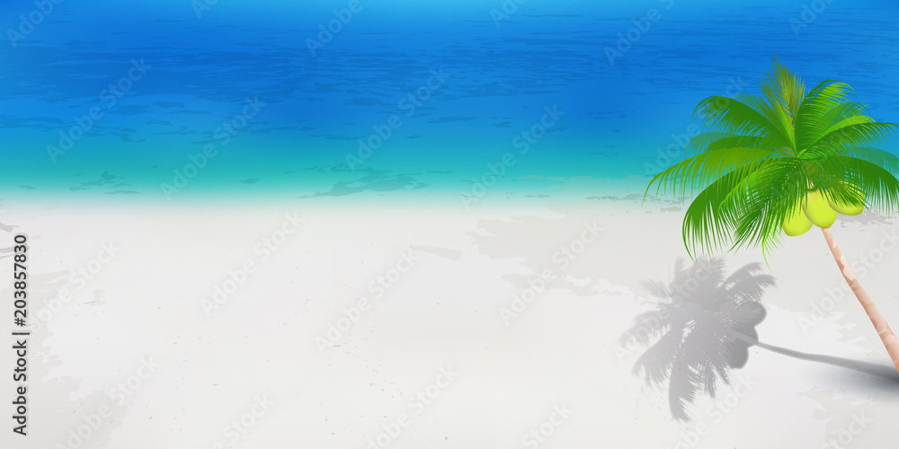 海 夏 ヤシの木 背景 Muurcirkel