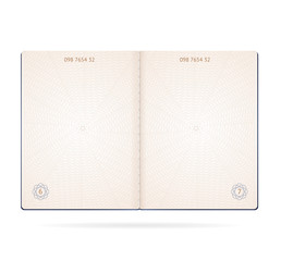 Realistic Detailed 3d Passport Blank. Vector