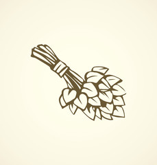 Bath broom. Vector drawing