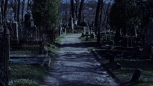 Walking At Night In The Old Cemetery
