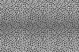 Fototapeta Sypialnia - Gray leopard fur, horizontal texture. Vector