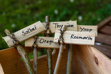 Creative Wooden Plant Markers, Labeled With German Names For Sage, Oregano, Thyme, Rosemary And Ysop For The Rural Herb Garden