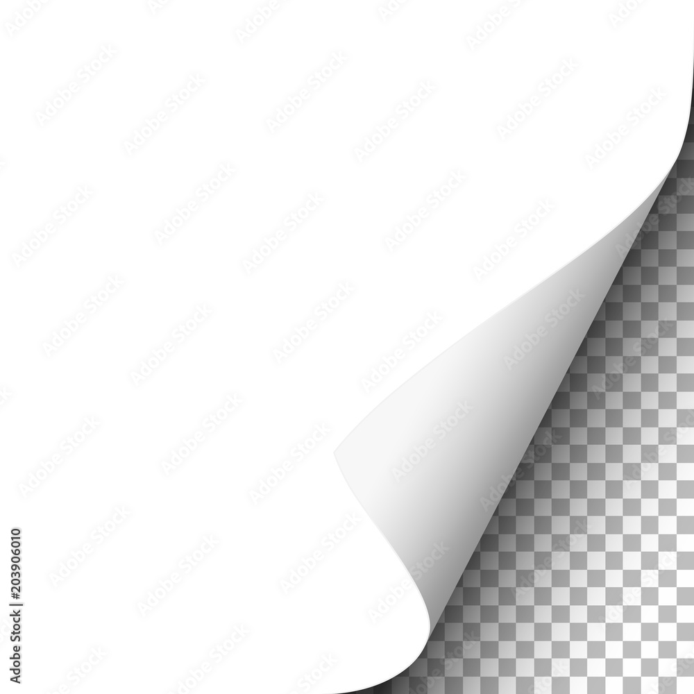 Vector Template Paper White paper sheet with lower right curl. Vector template paper design ...