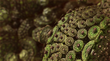 Micro World Fractal 2