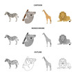African zebra, animal koala, giraffe, wild predator, lion. Wild animals set collection icons in cartoon,outline,monochrome style vector symbol stock illustration web.