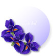 Round label or card with realistic iris flowers
