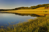 Fototapeta Na ścianę - Grass in the water of a lake in the feet from a hill at sunset 