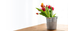 Holidays, Spring And Gardening Concept - Red Tulip Flowers In Tin Bucket On Wooden Table At Home