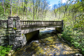 Wall Mural - Moore Cove Falls, North Carolina