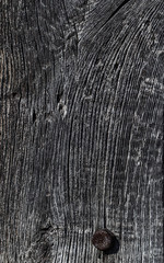 Wall Mural - Wooden texture surface with old natural wooden pattern