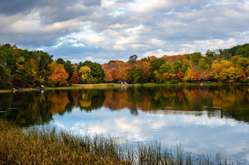 Colourful Autumn Trees on the Shore of a Lake and Cloudy Sky at Sunset. Reflection in Water