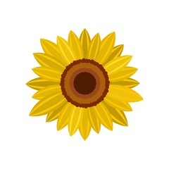 Poster - Bright sunflower icon. Flat illustration of bright sunflower vector icon for web