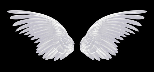 Wall Mural - white wings isolated on black background