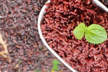 Wall Mural - cooked black rice and raw organic riceberry rice