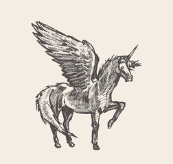 Beautiful unicorn wind vector illustration sketch