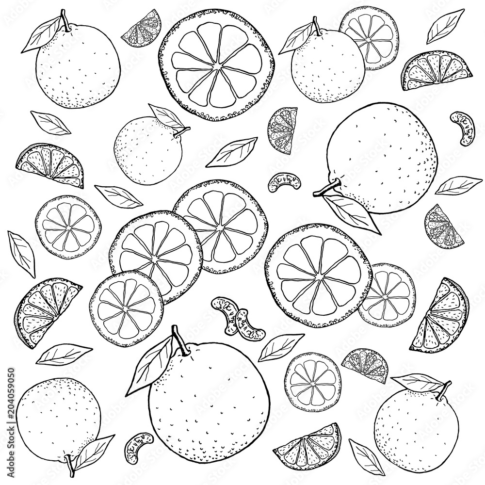 オレンジ 手描きの線画 の Stock イラスト | Adobe Stock