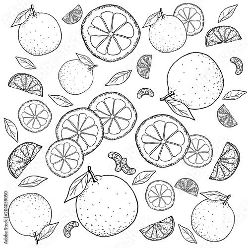 オレンジ 手描きの線画 Stock イラスト Adobe Stock オレンジ 手描きの線画 Stock イラスト Adobe Stock