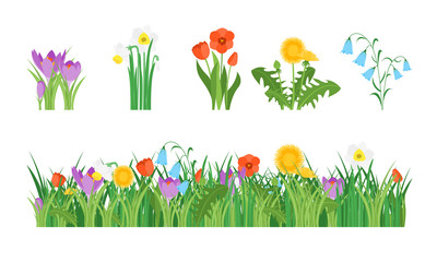 Wall Mural - Cartoon Garden Flowers and Element Set. Vector