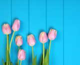 Fototapeta Tulipany - Tulips on a blue background