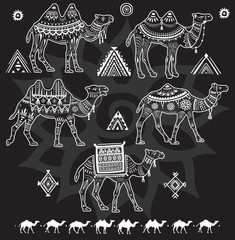 Wall Mural - Set of stylized figures of Camels