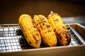 grilled corn on the grill