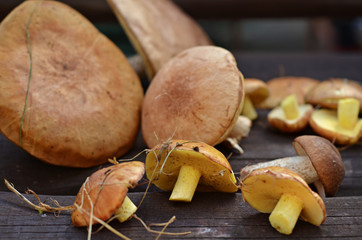 Sprinkled raw mushrooms on a wooden background