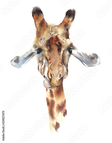 Naklejki żyrafa  glowa-zyrafy-portret-safari-zwierze-afrykanska-przyroda-niebezpieczny-gatunek-akwarela-malarstwo