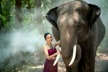 Asian Woman Enjoying With Elephant At Chang Village Surin Province Thailand.