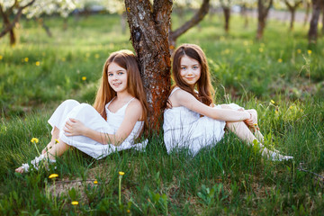 Wall Mural - A portrait of beautiful young girls with blue eyes in a white dresses in the garden with apple trees blosoming having fun and enjoying smell of flowering spring garden at the sunset