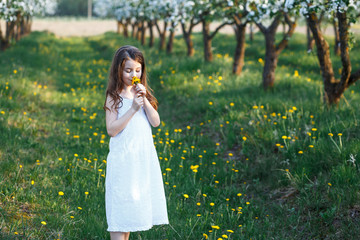 Wall Mural - A portrait of a beautiful young girl with blue eyes in a white dress  in the garden with apple trees blosoming having fun and enjoying smell of flowering spring garden at the sunset