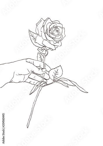 Hand Holding Flower Sketch - Frikilo Quesea