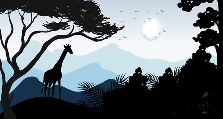 Canvas Print - Silhouette Giraffe and Forest Scene