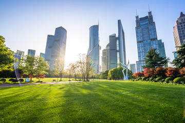 Wall Mural - modern office building with green lawn in shanghai park