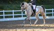Horse mold with rider in a dressage test in the gait step with lifted leg, photographed in the neckline..
