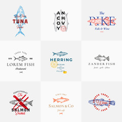 Wall Mural - Premium Quality Retro Fish Vector Signs or Logo Templates Set. Hand Drawn Vintage Fish Sketches with Classy Typography, Tuna, Trout, Salmon, Herring etc. Great Restaurant and Seafood Emblems.