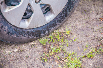 Tire with track in the green grass