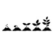 Planting seed sprout in ground. Infographic sequence grow sapling. Seedling gardening tree. Icon, flat isolated on white background. Vector