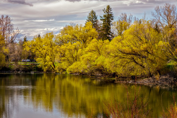 Wall Mural - Spring colors reflected on slow moving Whitefish River, Montana