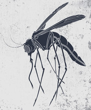 Stencil Of A Mosquito. Vector Illustration Of Mosquito Insect In Cartoon Style On Grunge Background. Good For Logos, T-shirt Prints, Posters, Stickers, Mascots.