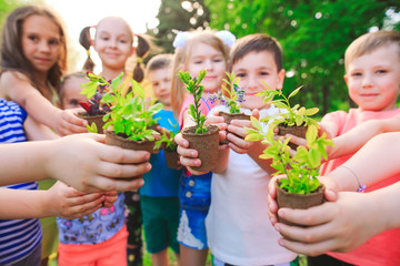 People Hands Cupping Plant Nurture Environmental