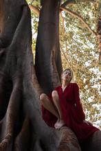 Tender Woman In Dress On Huge Tree