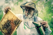 Pszczelarz podczas wiosennej inspekcji w pasiece
